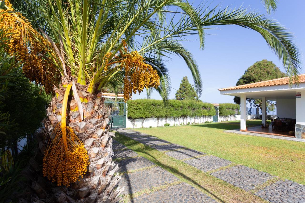 Finca La Vizcondesa Икод-де-лос-Винос Экстерьер фото